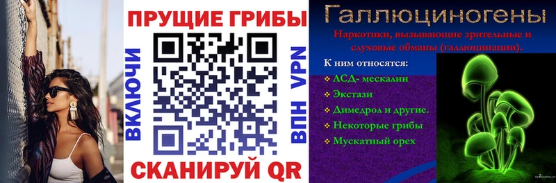 Псилоцибиновые грибы Psilocybe  Вилючинск 